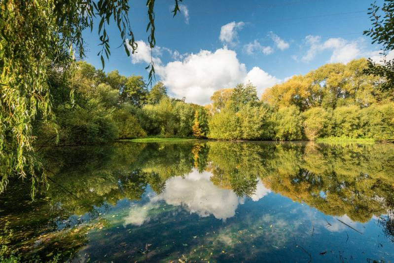 Quellgarten Henglarn © Teutoburger Wald Tourismus / Dominik Ketz